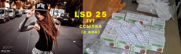 ГАЛЛЮЦИНОГЕННЫЕ ГРИБЫ Бородино