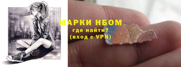 ГАЛЛЮЦИНОГЕННЫЕ ГРИБЫ Бородино