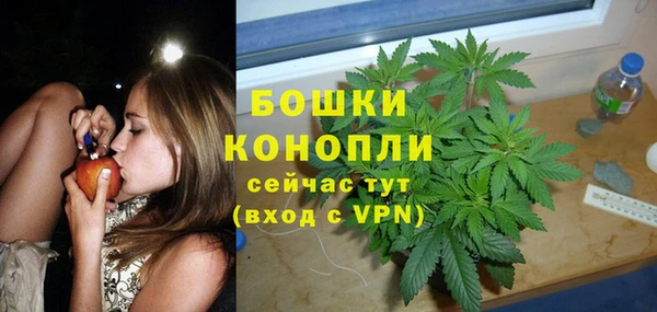ГАЛЛЮЦИНОГЕННЫЕ ГРИБЫ Бородино