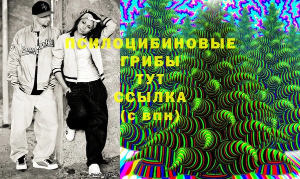 ГАЛЛЮЦИНОГЕННЫЕ ГРИБЫ Бородино