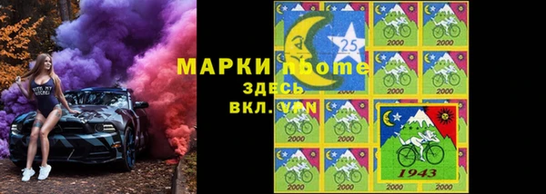 ГАЛЛЮЦИНОГЕННЫЕ ГРИБЫ Бородино